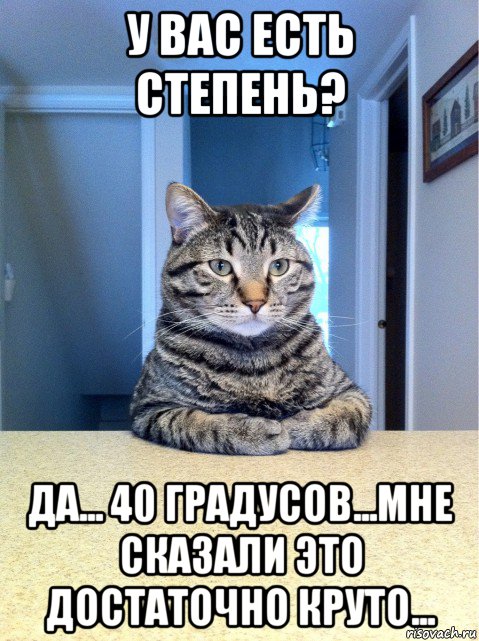 у вас есть степень? да... 40 градусов...мне сказали это достаточно круто..., Мем кот