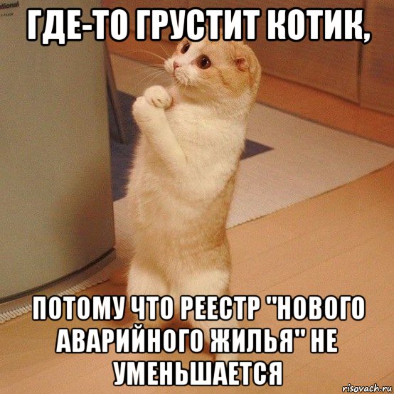 где-то грустит котик, потому что реестр "нового аварийного жилья" не уменьшается, Мем  котэ молится