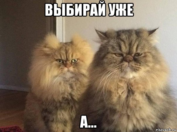 выбирай уже а...