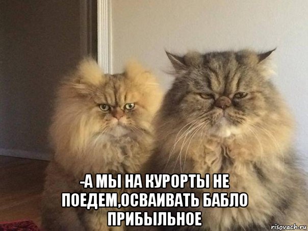  -а мы на курорты не поедем,осваивать бабло прибыльное