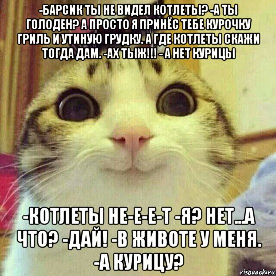 -барсик ты не видел котлеты? -а ты голоден? а просто я принёс тебе курочку гриль и утиную грудку. а где котлеты скажи тогда дам. -ах тыж!!! - а нет курицы -котлеты не-е-е-т -я? нет...а что? -дай! -в животе у меня. -а курицу?, Мем       Котяка-улыбака