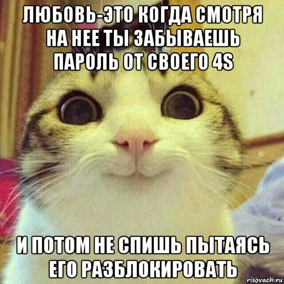 любовь-это когда смотря на нее ты забываешь пароль от своего 4s и потом не спишь пытаясь его разблокировать, Мем       Котяка-улыбака