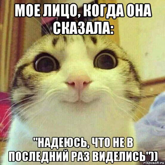 мое лицо, когда она сказала: "надеюсь, что не в последний раз виделись")), Мем       Котяка-улыбака