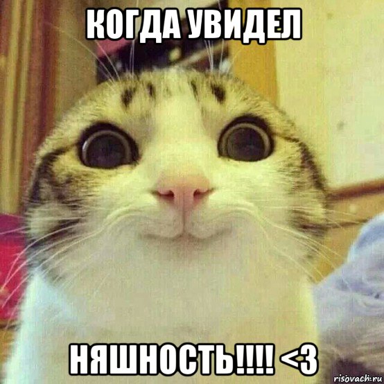 когда увидел няшность!!!! <3, Мем       Котяка-улыбака