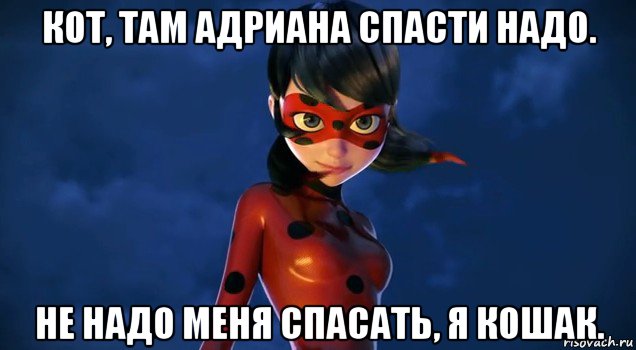 кот, там адриана спасти надо. не надо меня спасать, я кошак.