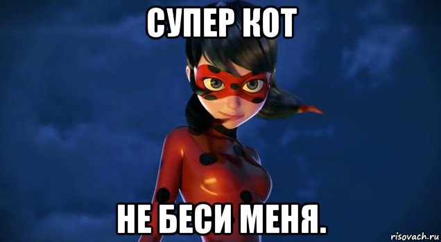 супер кот не беси меня.