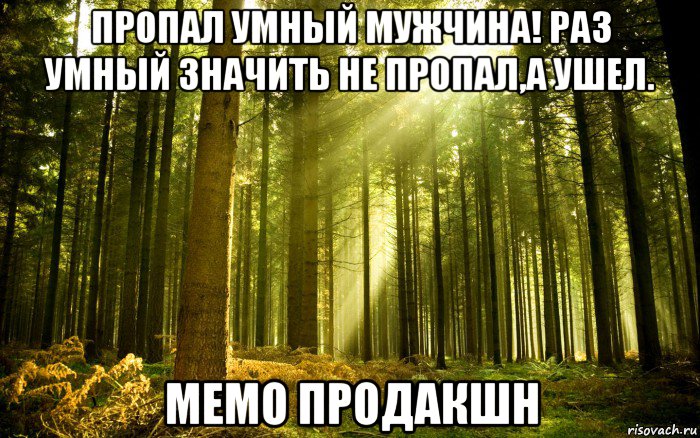 пропал умный мужчина! раз умный значить не пропал,а ушел. мемо продакшн, Мем Лес