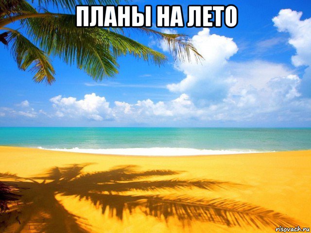 планы на лето 