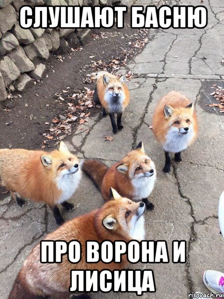 слушают басню про ворона и лисица, Мем Лисы
