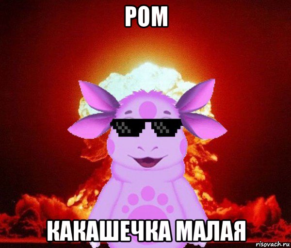 ром какашечка малая