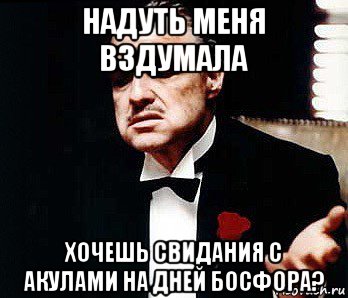 надуть меня вздумала хочешь свидания с акулами на дней босфора?, Мем Мафия