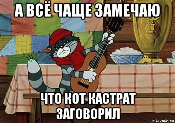 а всё чаще замечаю что кот кастрат заговорил, Мем Грустный Матроскин с гитарой