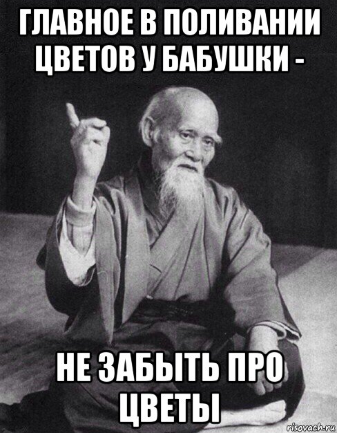 главное в поливании цветов у бабушки - не забыть про цветы, Мем Монах-мудрец (сэнсей)