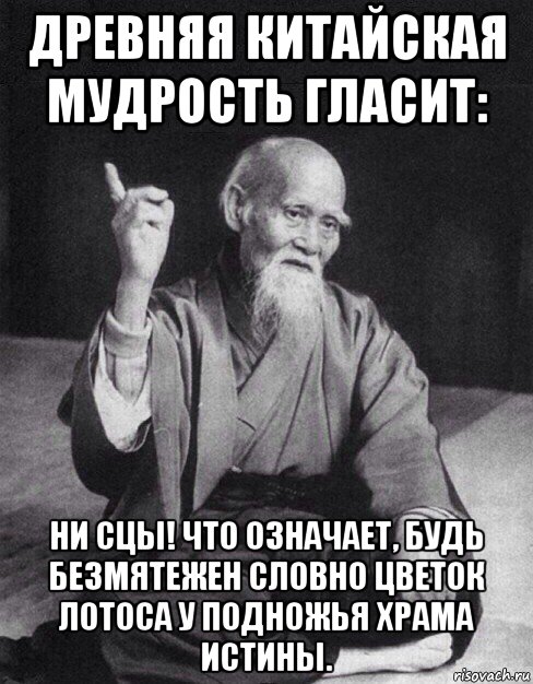 древняя китайская мудрость гласит: ни сцы! что означает, будь безмятежен словно цветок лотоса у подножья храма истины., Мем Монах-мудрец (сэнсей)