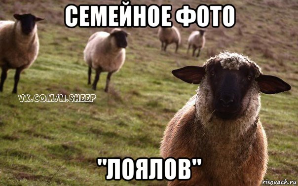 семейное фото "лоялов", Мем  Наивная Овца