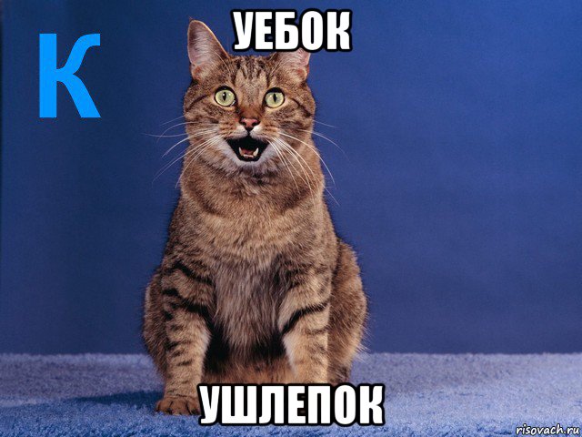 уебок ушлепок