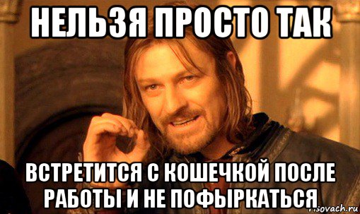 нельзя просто так встретится с кошечкой после работы и не пофыркаться, Мем Нельзя просто так взять и (Боромир мем)