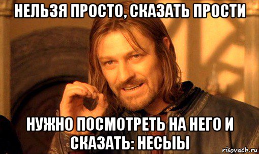 нельзя просто, сказать прости нужно посмотреть на него и сказать: несыы, Мем Нельзя просто так взять и (Боромир мем)