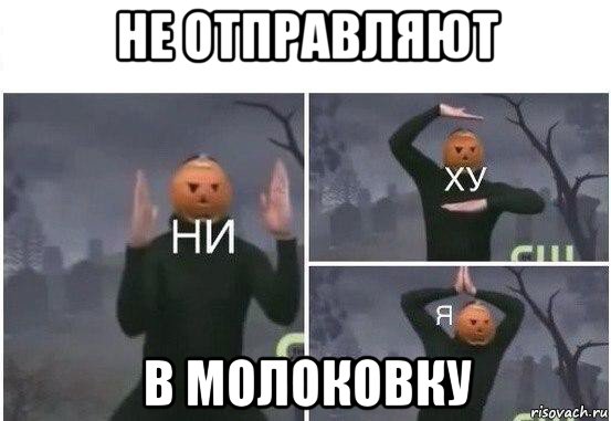 не отправляют в молоковку, Мем  Ни ху Я