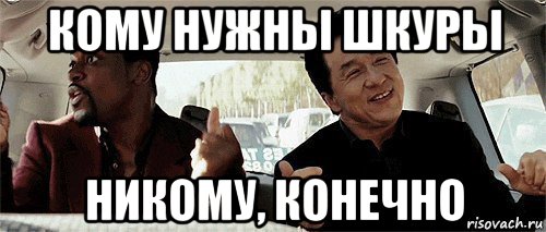 кому нужны шкуры никому, конечно, Мем Никому конечно