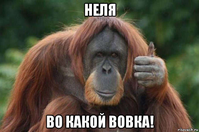 неля во какой вовка!