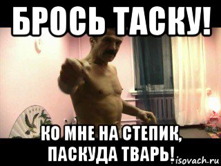 брось таску! ко мне на степик, паскуда тварь!, Мем Паскуда тварь