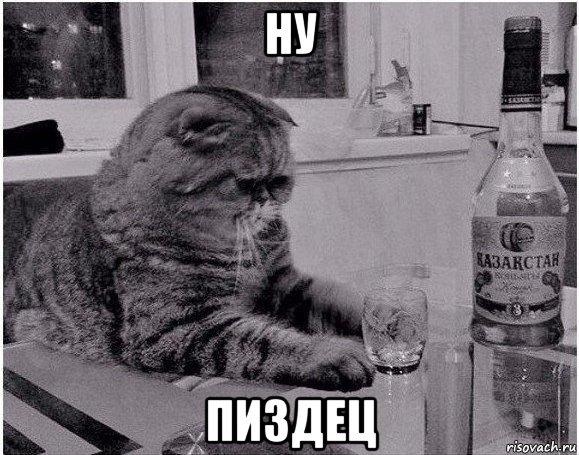 ну пиздец