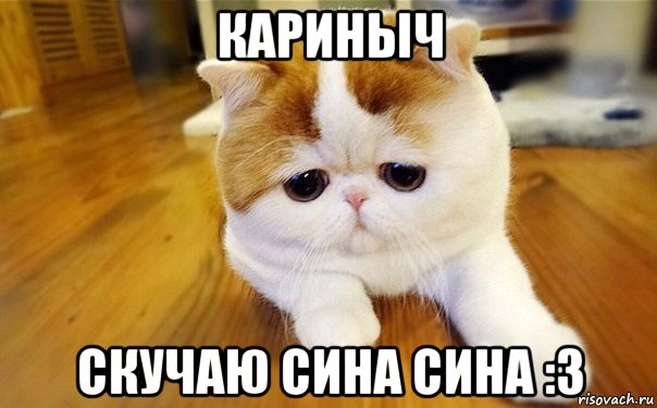 кариныч скучаю сина сина :3