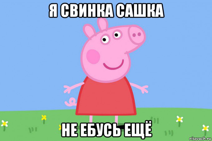 я свинка сашка не ебусь ещё, Мем Пеппа