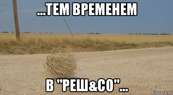 ...тем временем в "реш&со"..., Мем перекати-поле одиночество