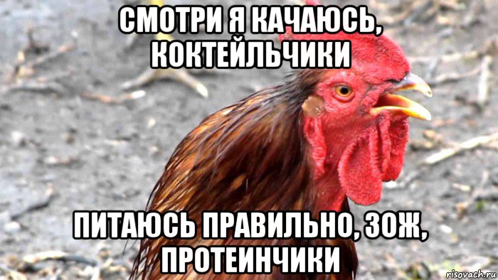 смотри я качаюсь, коктейльчики питаюсь правильно, зож, протеинчики