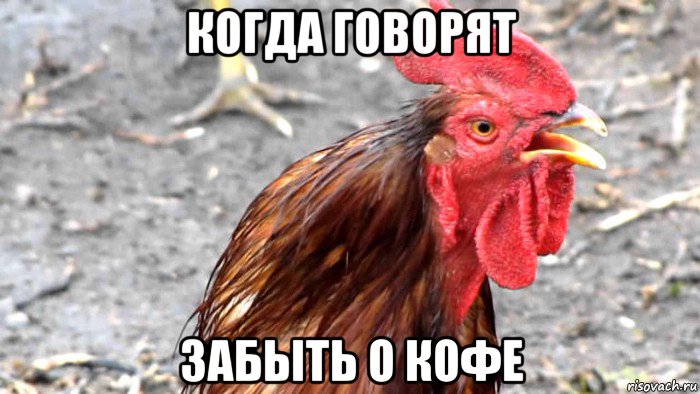 когда говорят забыть о кофе