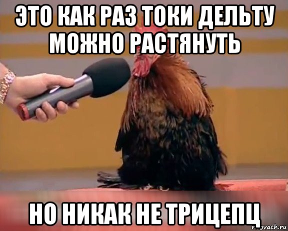 это как раз токи дельту можно растянуть но никак не трицепц