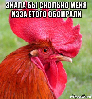 знала бы сколько меня изза етого обсирали 
