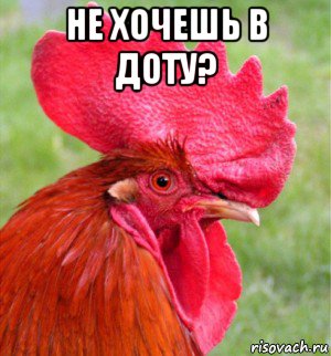 не хочешь в доту? 