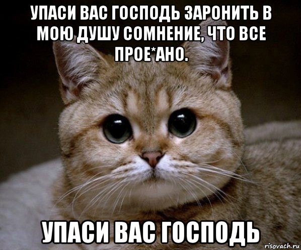 упаси вас господь заронить в мою душу сомнение, что все прое*ано. упаси вас господь, Мем Пидрила Ебаная