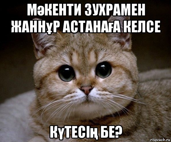 мәкенти зухрамен жаннұр астанаға келсе күтесің бе?, Мем Пидрила Ебаная