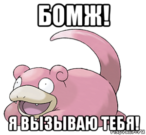 бомж! я вызываю тебя!, Мем покемон