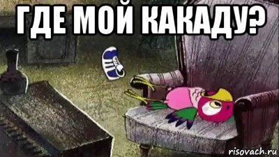 где мой какаду? 