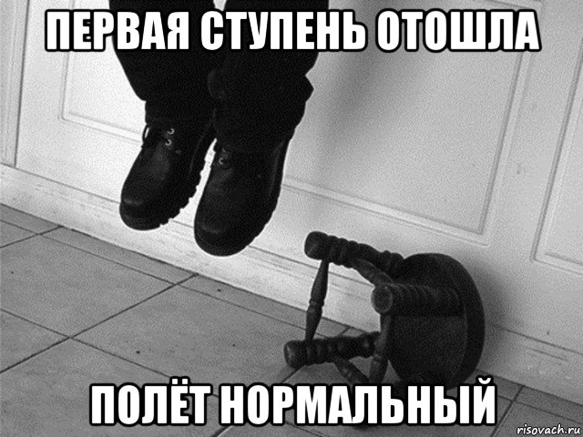 первая ступень отошла полёт нормальный