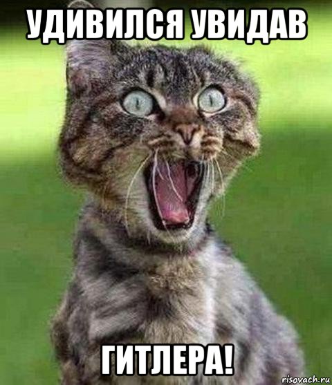 удивился увидав гитлера!