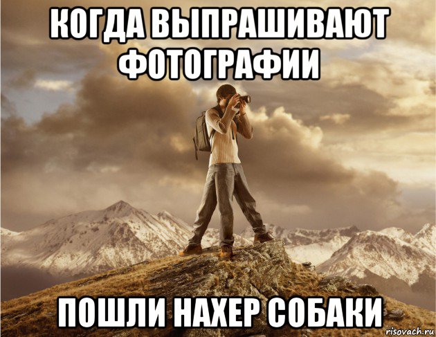 когда выпрашивают фотографии пошли нахер собаки, Мем прирожденный фотограф
