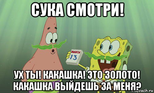 сука смотри! ух ты! какашка! это золото! какашка выйдешь за меня?, Мем просрали 8 марта