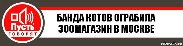 Банда котов ограбила зоомагазин в москве, Комикс   пусть говорят