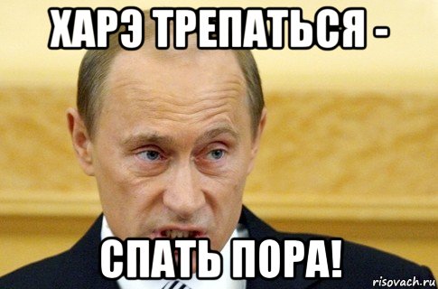 харэ трепаться - спать пора!, Мем путин