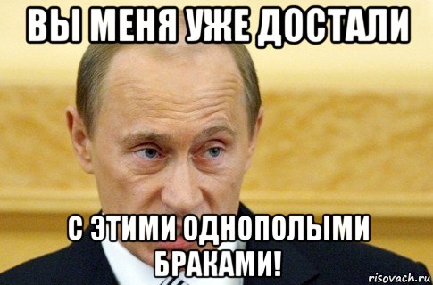 вы меня уже достали с этими однополыми браками!, Мем путин