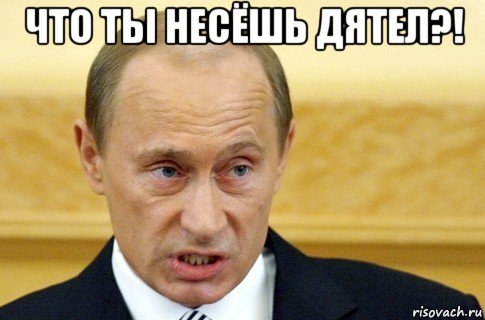 что ты несёшь дятел?! , Мем путин