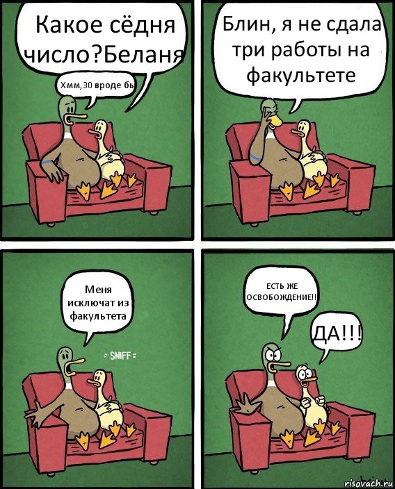 Какое сёдня число?Беланя Хмм,30 вроде бы Блин, я не сдала три работы на факультете Меня исключат из факультета ЕСТЬ ЖЕ ОСВОБОЖДЕНИЕ!!! ДА!!!, Комикс  Разговор уток