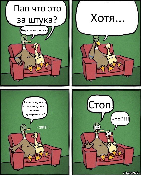 Пап что это за штука? Вырастишь раскажу.. Хотя... Ты же видел эту штуку когда мы с мамой кувыркались? Стоп! Что?!!!, Комикс  Разговор уток