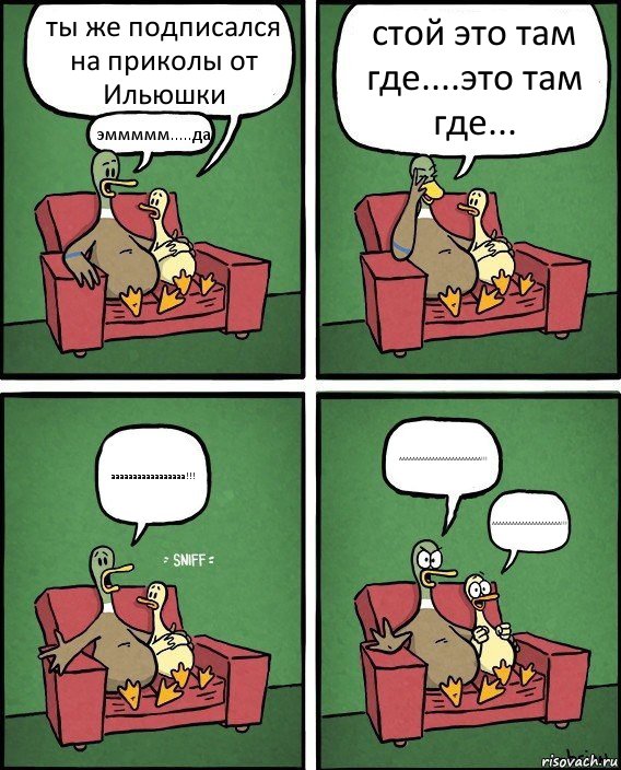 ты же подписался на приколы от Ильюшки эммммм.....да. стой это там где....это там где... ааааааааааааааааа!!! ААААААААААААААААААААААААА!!! ААААААААААААААААААААА!!!, Комикс  Разговор уток